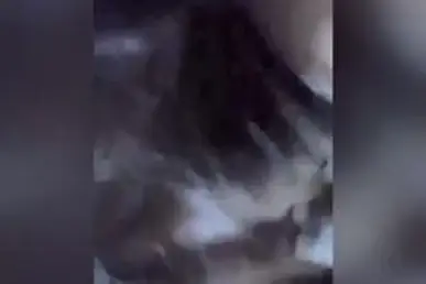 Kesayangan Dari Kampung Mandi